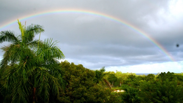 Regenbogen Grund