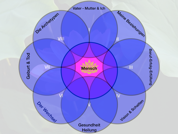 8 Themenkreise - koelbl Image