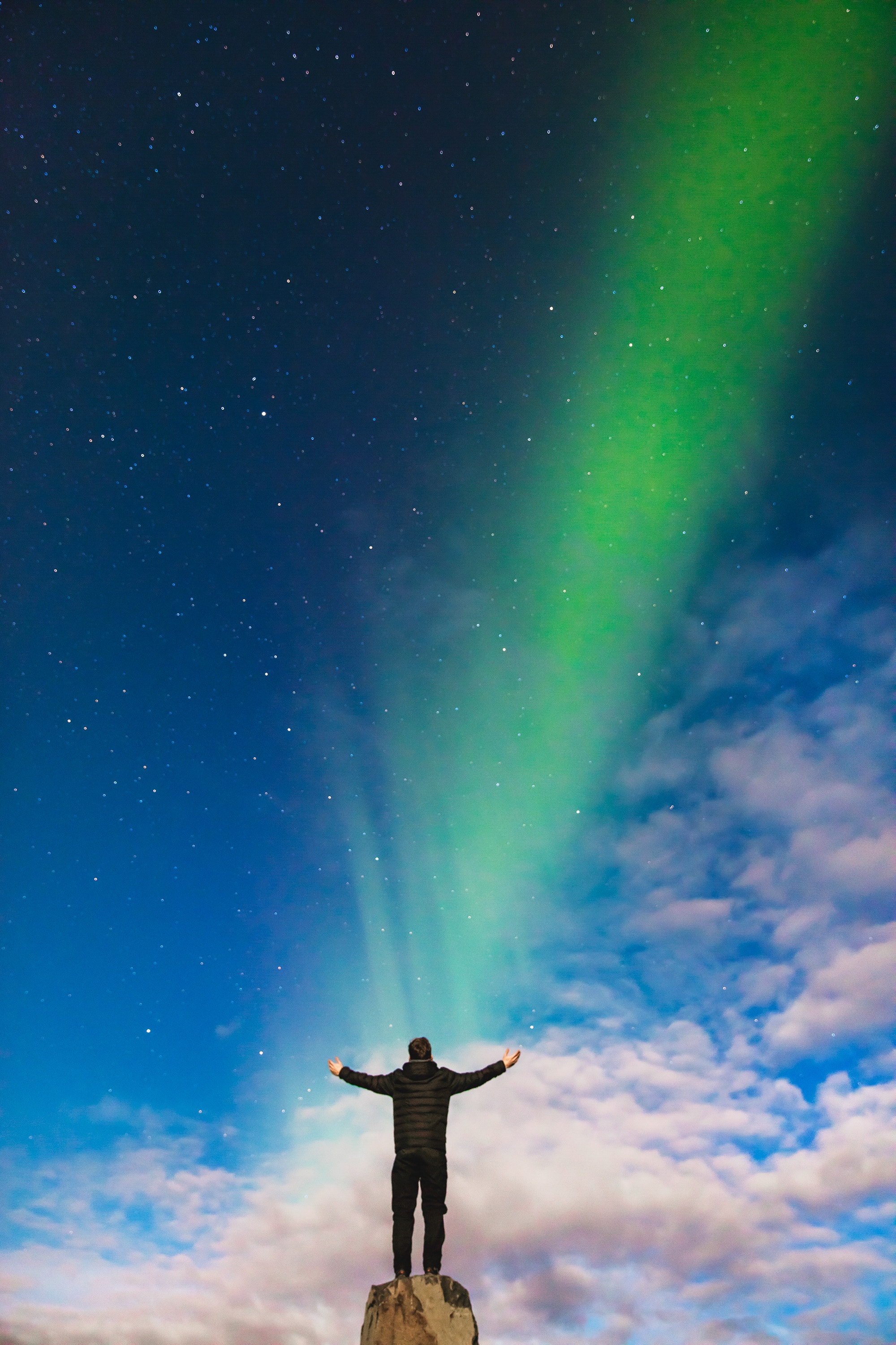 Herz und Hirn Web Betribescoaching joshua earle 252222 unsplash