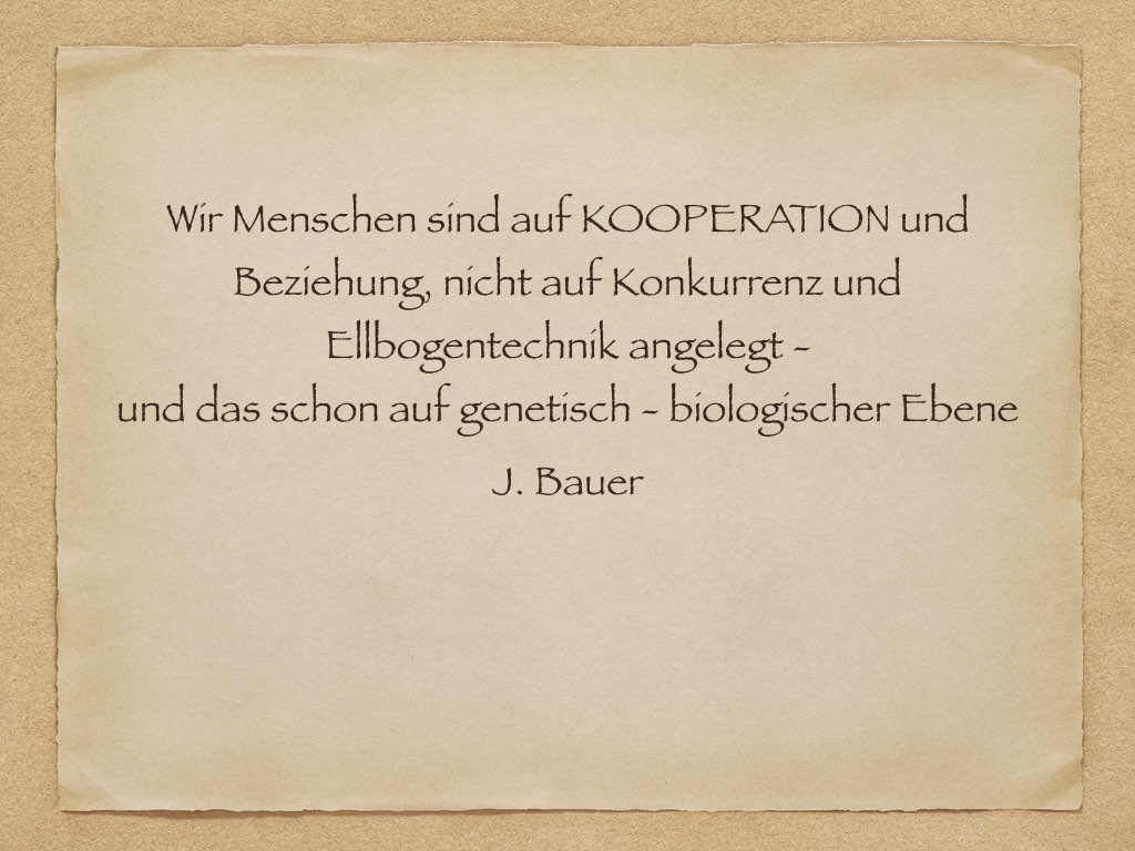 Kooperation Bauer.001