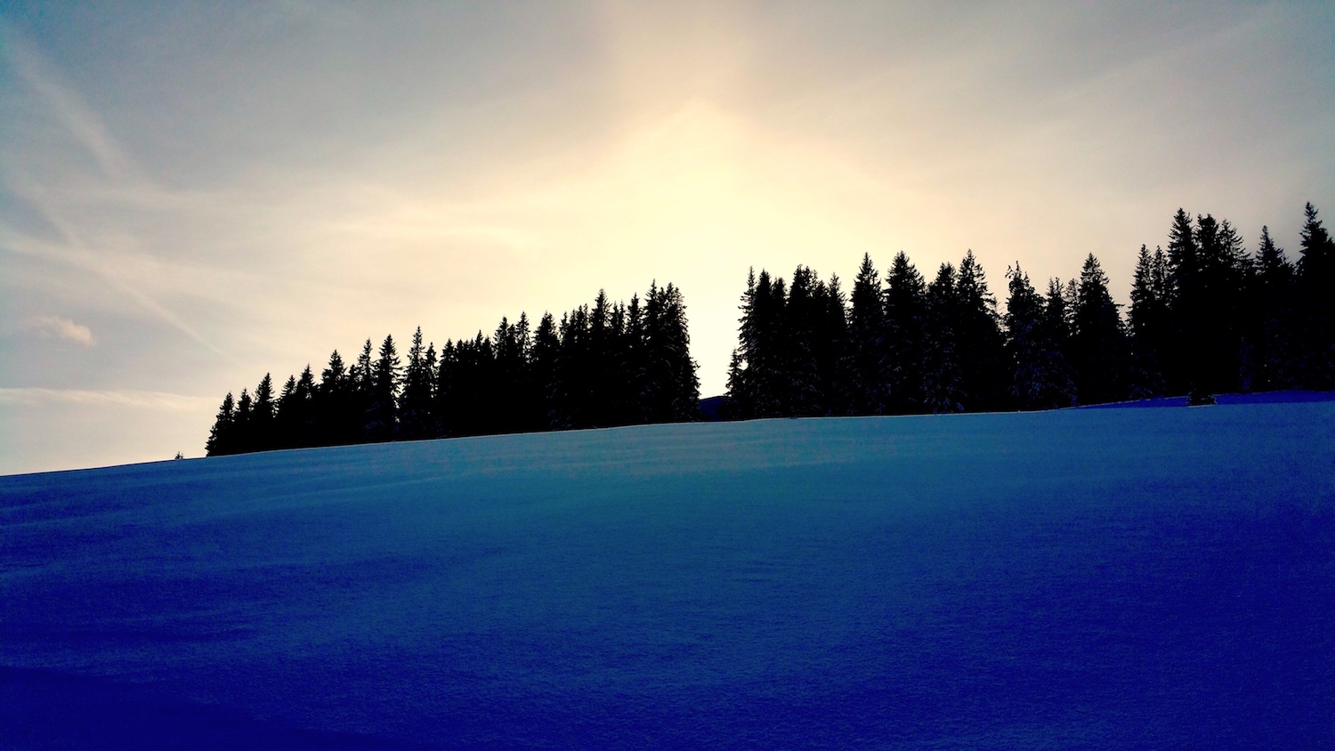 TannenPostalm